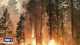 President Biden meets with governors on Canadian wildfires | FOX 9 KMSP