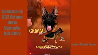 Grimm della Valcuvia