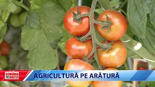 ROMÂNIA, TE IUBESC! - AGRICULTURĂ PE ARĂTURĂ