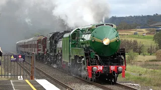 [4K] Locomotives 3801, 6029 & 4501 Transfer past Douglas Park | Southern Highlands