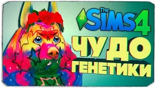 ЧУДО ГЕНЕТИКИ, УГАРНЫЕ СОБАКЕНЫ ВЕРНУЛИСЬ! - The Sims 4 "Кошки и Собаки"