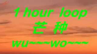 【Song】[Lyrics + Pinyin + Eng] 1 hour loop wu--- wo-- (Grain in Ear) 一小时循环版 芒种 (一想到你我就 wu) máng zhòng