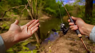 Micro Fishing a TINY CREEK for HUGE BASS! (50+ Fish Day)