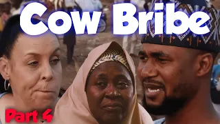 Kim Buys a COW to Bribe Usman's Mother. Kim and Usman part 4 - 90 day fiance happily ever after?