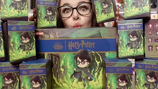 I BOUGHT 12 HARRY POTTER MYSTERY BOXES ⚡️ Pop Mart Harry Potter And The Chamber Of Secrets Series