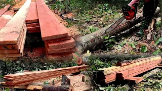 Life in the mountain, making planks and blocks to build a hut ep 168