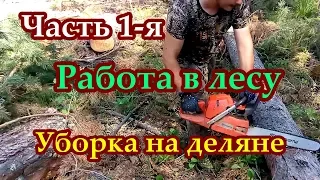 Работа в лесу - уборка деляны ЧАСТЬ 1-Я / Плывём до делянки на моторной лодке  по морю