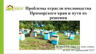 Проблемы отрасли пчеловодства Приморского края и пути их решения. Пулинец Е.К.