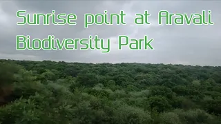 Sunrise point at Aravali Biodiversity Park