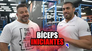 Treino de bíceps para iniciantes