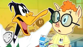 Looney Tunes en Français | Les souvenirs du lycée de Daffy | WB Kids