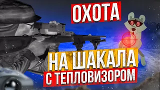 Охота на шакала с тепловизором.