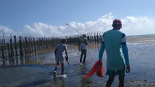 Pescadores de Moreia em Ação/Praia de Moitas
