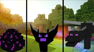 How to train your Ender Dragon in MINECRAFT / Pet Ender Dragon