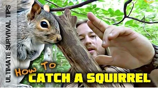 SURVIVAL MEAT! Squirrel Pole Snare Set-Up - SURVIVAL TRAPS / SNARES 101