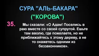 СУРА "АЛЬ-БАКАРА" ("КОРОВА") аят - 35