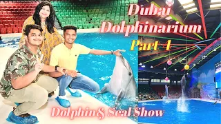 Dubai Vlog | Dubai Dolphinarium | Dolphin Show | Swim with Dolphins | Part 4 #dubaidolphinshow