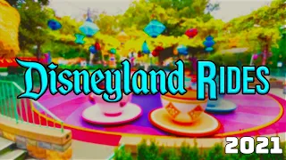 Disneyland Rides - 2021 POVs [4K/HD]