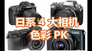 考眼力Canon Nikon SONY Fujifilm直出色彩对比