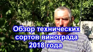 Обзор технических сортов винограда 2018 года.