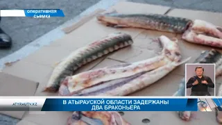 В Атырауской области задержаны два браконьера