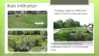Landscape Design with Native Plants - Ecosystem Services and Sustainable Site Desgin
