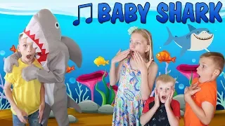 Baby Shark Song || Family Fun Pack Style