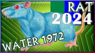 ✪ Rat Horoscope 2024 | Water Rat 1972 | February 15, 1972 to February 2, 1973