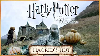 Hagrid's Hut [ASMR] Hogwarts in Autumn 🍁Harry Potter 3 inspired Ambience 🍂🎃 Pumpkins, Falling leaves