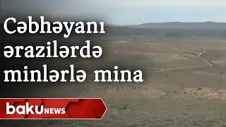 Cəbhəyanı ərazilərdə minlərlə mina aşkarlandı - Baku TV