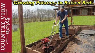 4 Different Ways to Grow Potatoes in Raised Beds  |  Planting 25 pounds of Seed Potatoes