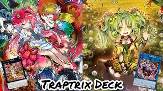 Traptrix Deck New Card 2022/Replay Combos Decklist/Edopro Game