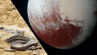 Вот что увидели ученые прилетев к Плутону
