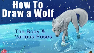 How To Draw A Wolf -- The Body & Poses (Sitting, Running, Jumping, Howling, etc.)