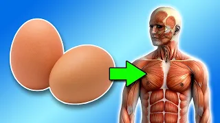 Eat 2 Eggs a Day And Watch What Happens To Your Body