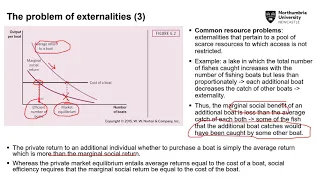 SM9628 - Lecture 5 - Externalities and the environment