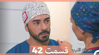 Zarabane Ghalb - ضربان قلب قسمت 42