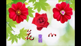 花心2  童丽