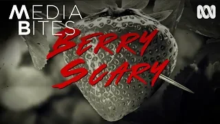 Berry Scary | Media Bites