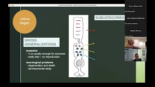 Retina and Systemic Inherited Diseases