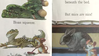 Mice Are Nice  (read aloud)