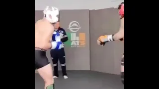 Conor McGregor Training Hard (Sparring)