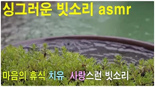 The refreshing sound of rain that brings healing and relaxation asmr