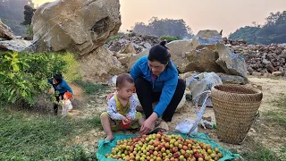 The Life of a 17-Year-Old Single Mother - Picking Plums on the Mountain - Ly Thien Ca