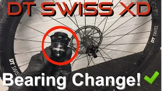 DT Swiss SRAM XD Freehub Body Bearing Change