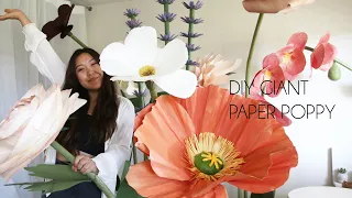 DIY Giant Paper Poppy Backdrop Stand Paper Flower