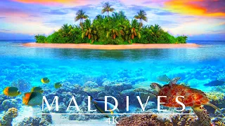Maldives Island 4K Drone 🇲🇻 Summer Vibes