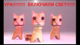 У боже это котики танцуют?