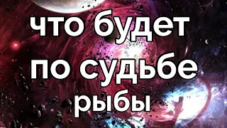 ГОРОСКОП РЫБЫ ТАРО ПРОГНОЗ НА 1-10 ФЕВРАЛЯ 2022 года Расклад Таро