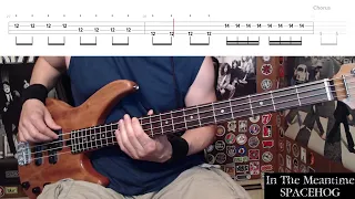 In The Meantime by Spacehog - Bass Cover with Tabs Play-Along